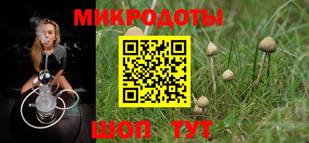 Галлюциногенные грибы Magic Shrooms  Вход с VPN  Псилоцибиновые грибы Psilocybine cubensis  Сунжа 