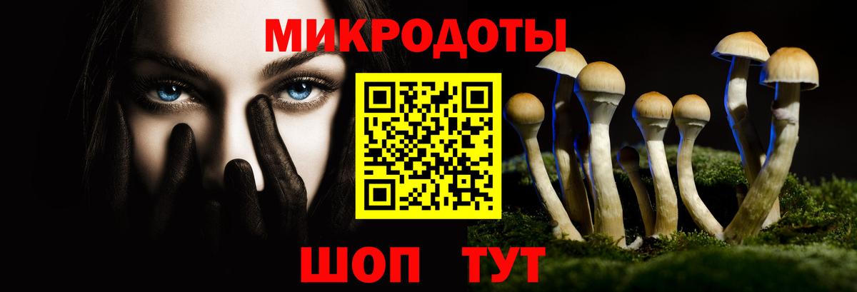 Псилоцибиновые грибы GOLDEN TEACHER Сунжа